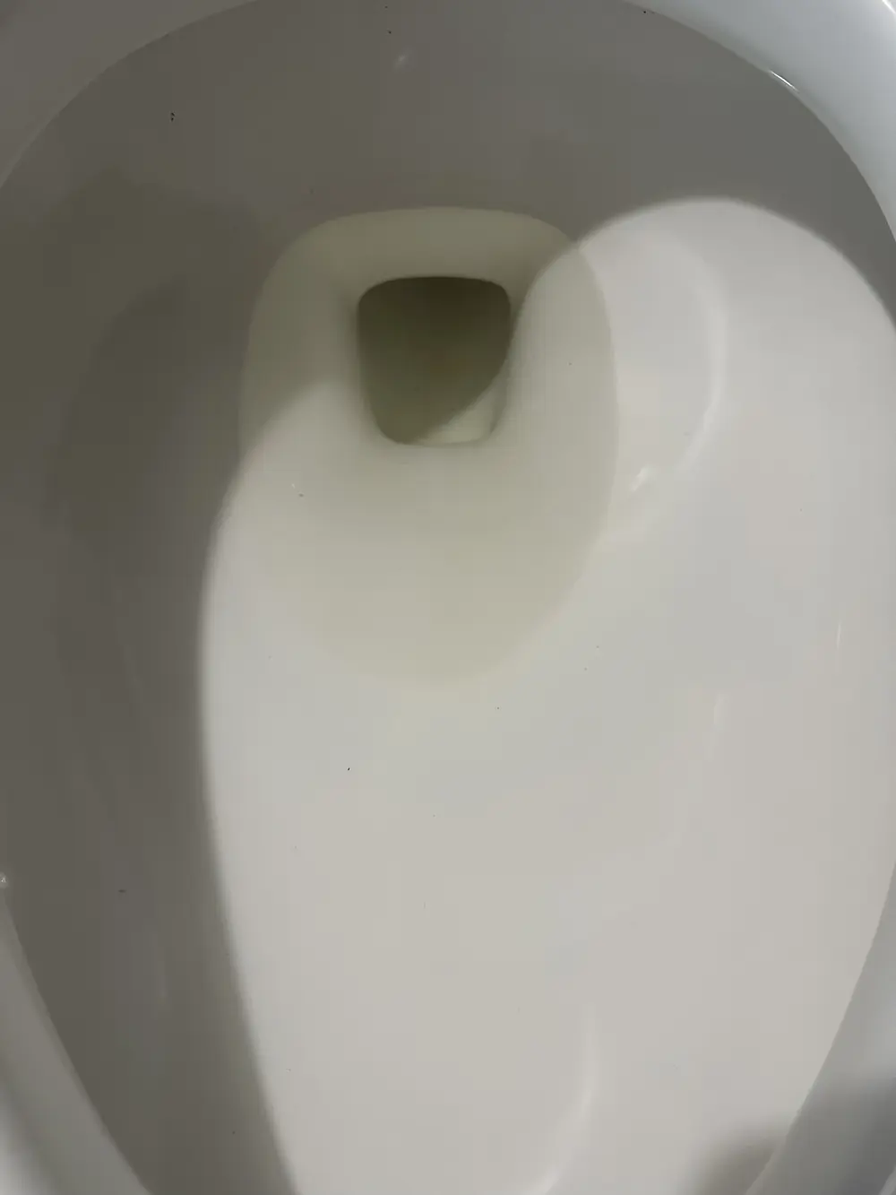 El mismo inodoro, listo para inspección tras la limpieza move-out de Clean My Mess