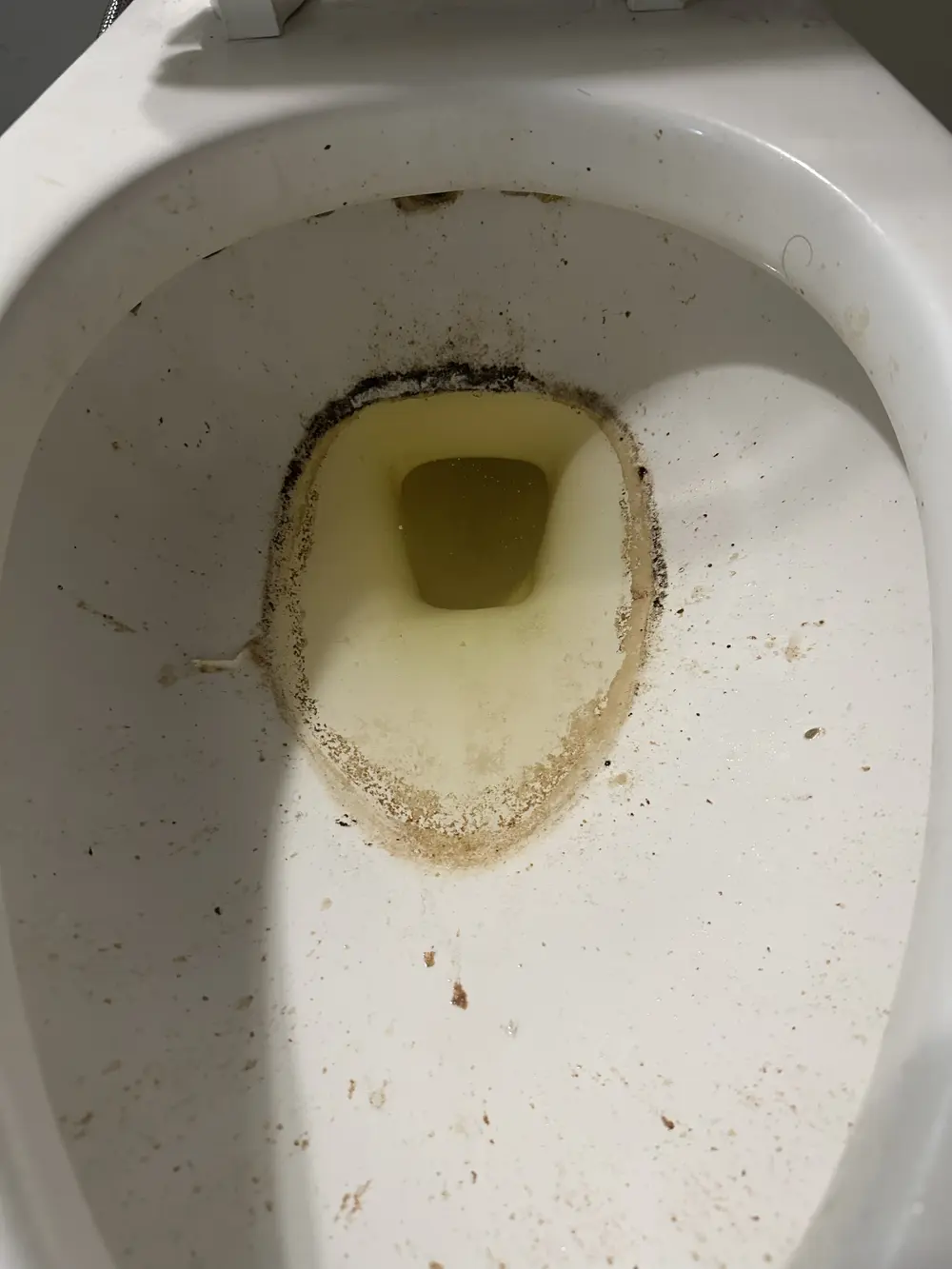Inodoro con acumulación pesada antes de la limpieza move-out