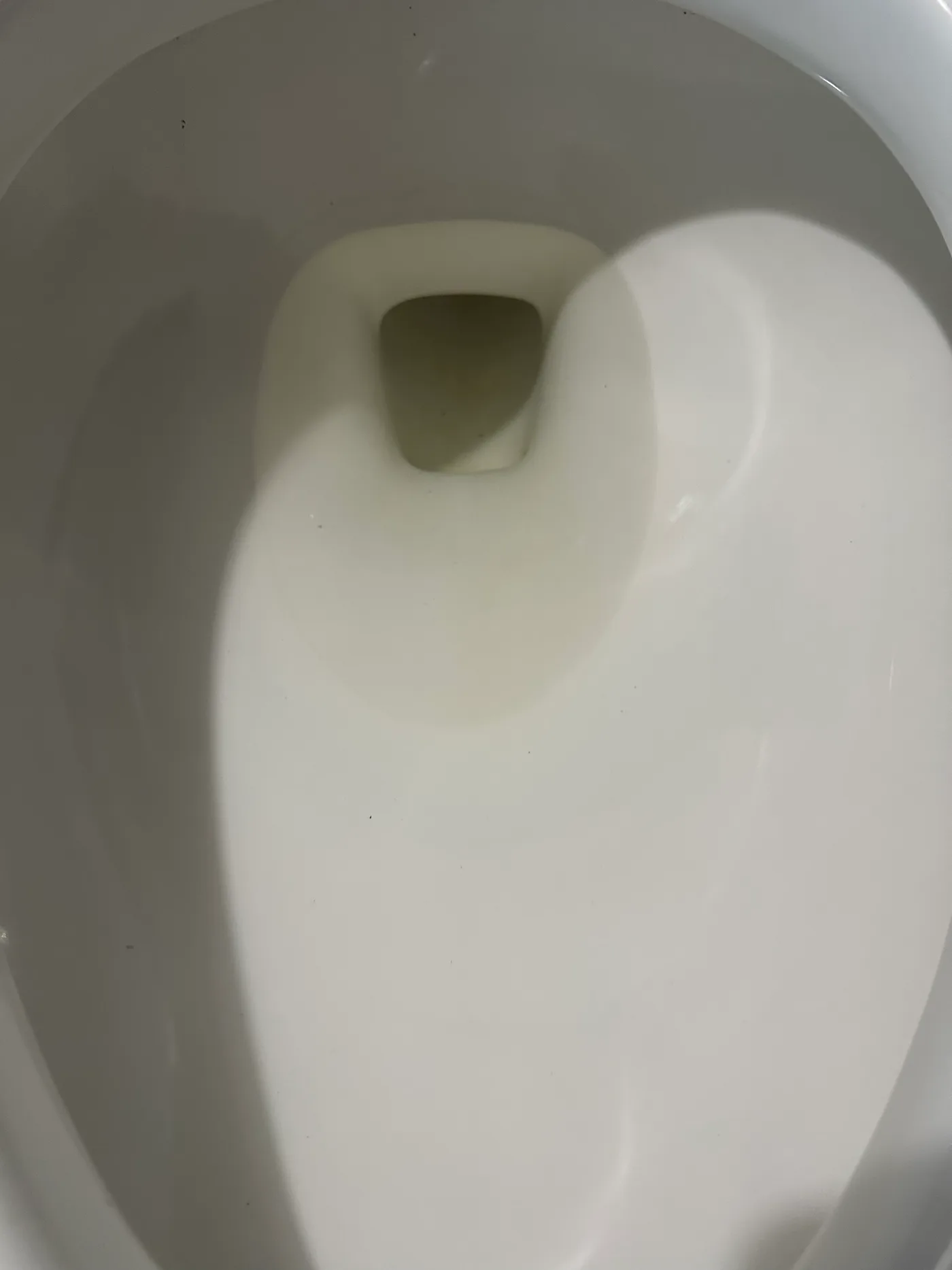 Inodoro limpio y sanitizado para la entrega del inmueble